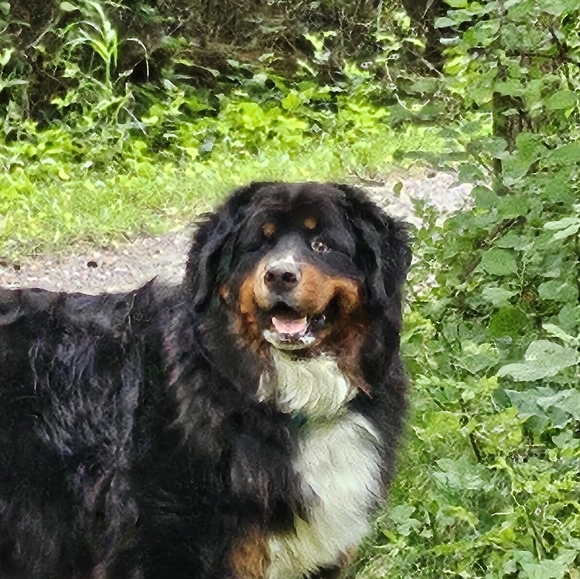 Meet your Posher, James - Picture 3 of 3